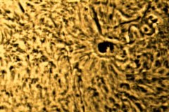 Ha-Sunspots-11-26-20-1-of-1-2