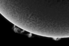 Solar prominences 20220101