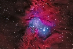 1_NGC2264