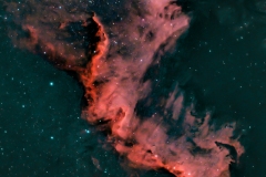 Cygnus Wall detail