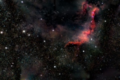 Cygnus wall NGC7000