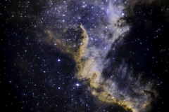 Cygnus_combined-RGB-V22AI