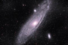 M31