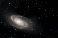 M81