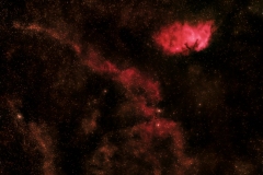 Tulip Nebula SH2-101