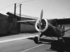 Howard DGA