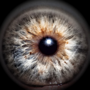 MacroMyEye2