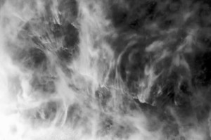DSC_5035
